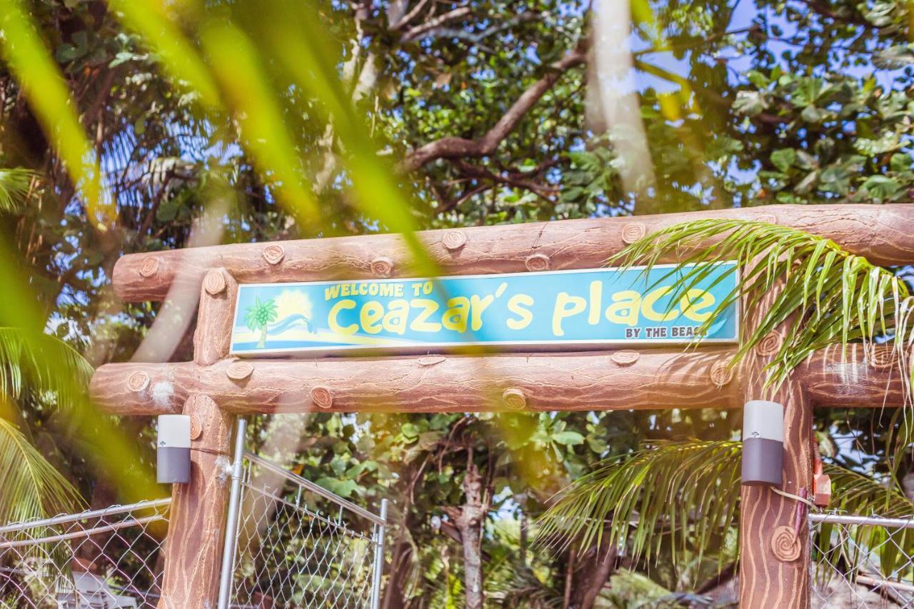 Ceazar'S Place Dauin Bagian luar foto