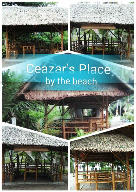 Ceazar'S Place Dauin Bagian luar foto